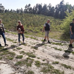 IMG 20220516 153006453 MP