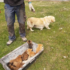 IMG 20220517 123814263 MP