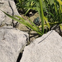 IMG 20220515 094002779